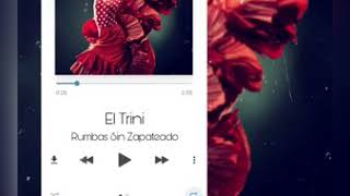 Video thumbnail of "El Trini - rumbas sin zapateado (audio)"