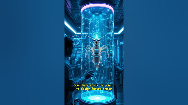 Did You Know This Shrimp Can Break Glass 😲?