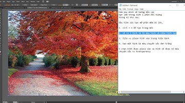[TRANSPARENCY IN AI] Làm trong suốt 1 phần đối tượng trong Ilustration [THIẾT KẾ ĐỒ HỌA]