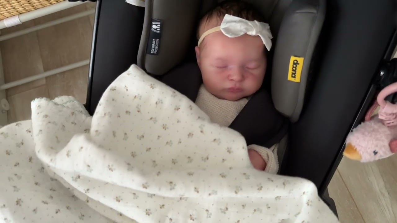 Reborn Baby Delilah's First Aquarium Trip | Laura Bonnie Brown