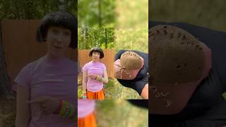 Dora Breaks The Multiverse