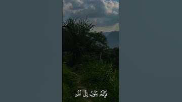 تلاوة خاشعة تهز القلوب | قرآن كريم🕋 بصوت عذب #قران_كريم