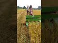 reaper machine dhaan cutting   meinhttps://youtube.com/@totalinformative-1?si=QhYji please subscribe