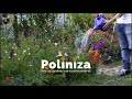 Poliniza, Red de jardines de polinizadores