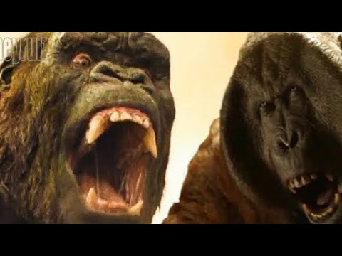 Legendary Kong and King Louie ( Live Action) roars at Eachother