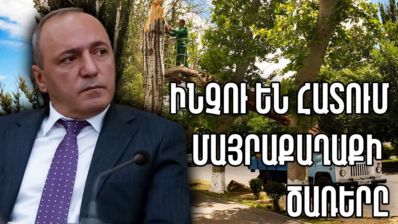 #ՀԻՄԱ. Արմեն Բեգոյանի ասուլիսը. ինչո՞ւ են հատում մայրաքաղաքի ծառերը