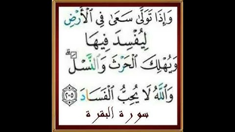 |سورة البقرة |اية رقم ٢٠٥| بصوت الشيخ الحصري |ص٣٢|اخذها بركة تركها حسرة |