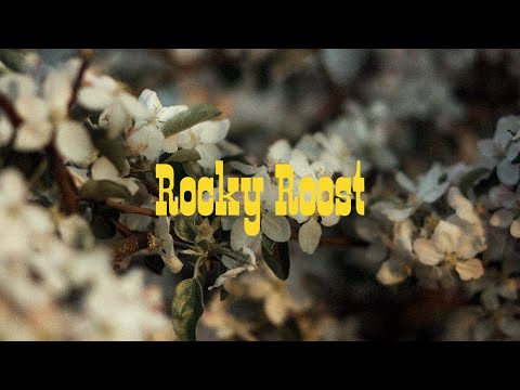 Behind the Song: Rocky Roost