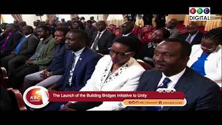 The Building Bridges Initiative Journey