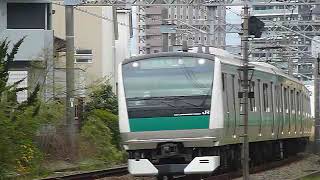 埼京線E233系 相鉄線特急「川越行き」海老名駅付近通過