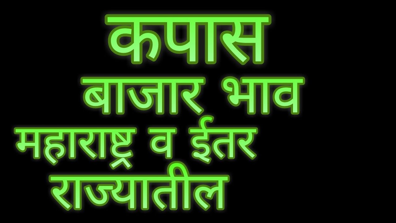 कपास बाजार भाव महाराष्ट्रच्या व ईतर राज्यातील प्रमुख बाजार समित्यांचे बाजार भाव krusciovke