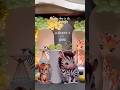 Jungle themed birthday decoration by PartyOne