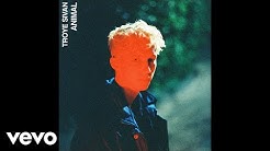 Troye Sivan - Animal (Official Audio)