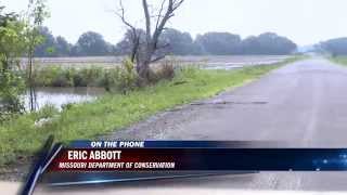 Famous Flash floods: What you need to know Net Worth