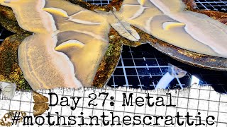 #mothsinthescrattic Day 27 - Metal - Gilded Moth Page Inserts