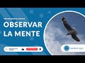 Meditación de 1 minuto: Observar la mente