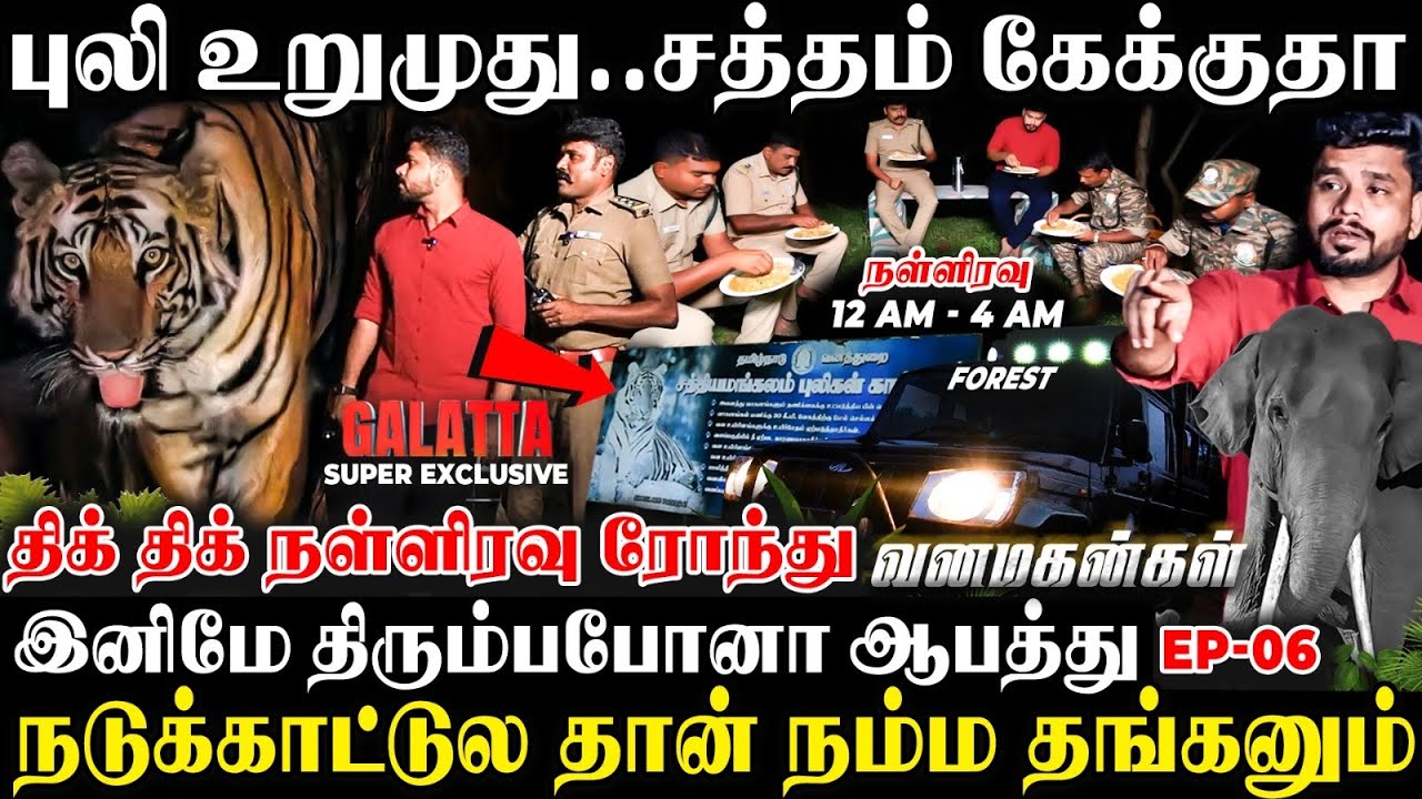 மிரட்டும் புலி,யானை,சிறுத்தை🐯🐘ஆபத்தான காட்டில் Forest Ranger-ன் திக் திக் நள்ளிரவு ரோந்து😱🚓 EPI-6