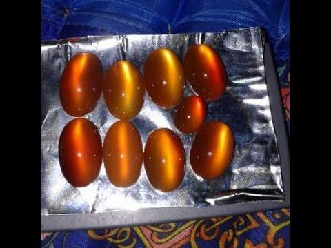 batu raflesia orange raflesia golden raflesia cat batu raflesia orange raflesia golden raflesia cat