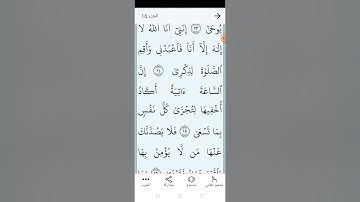 سورة طه بالتجويد المبسط الصفحة (٣١٣)