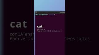 Comandos basicos de linux parte 2 #linux #ubuntu #programacion #sysadmin