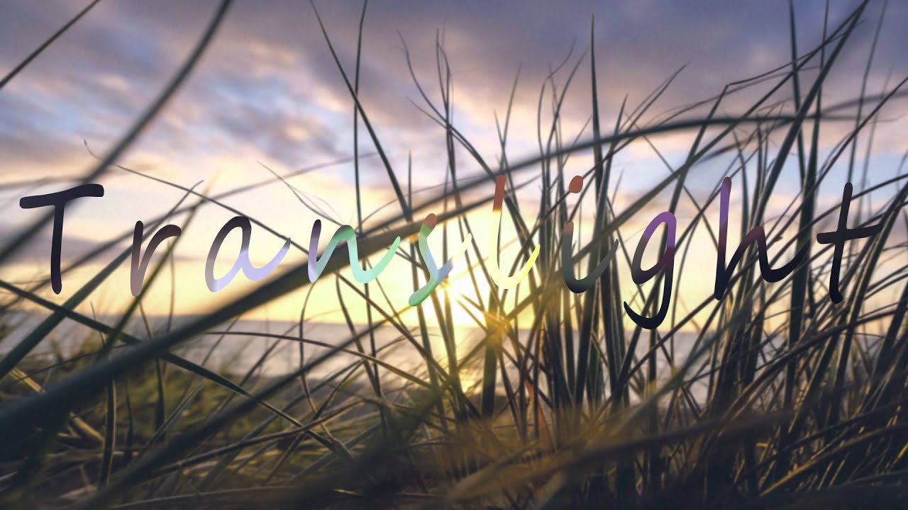 Diviners ft. Dom Robinson - Flowers