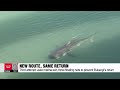 Bukangi returns to Busan canal after third attempt to guide shark out to sea