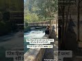 #funny#viral#short#reels#shortvideo#reels#funnyvideo#jokes#instagram