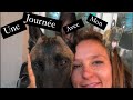 Vlog  une journe avec mon malinois   gwen online