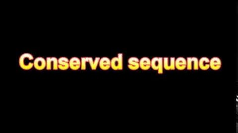 What Is The Definition Of Conserved sequence - Medical Dictionary Free Online
