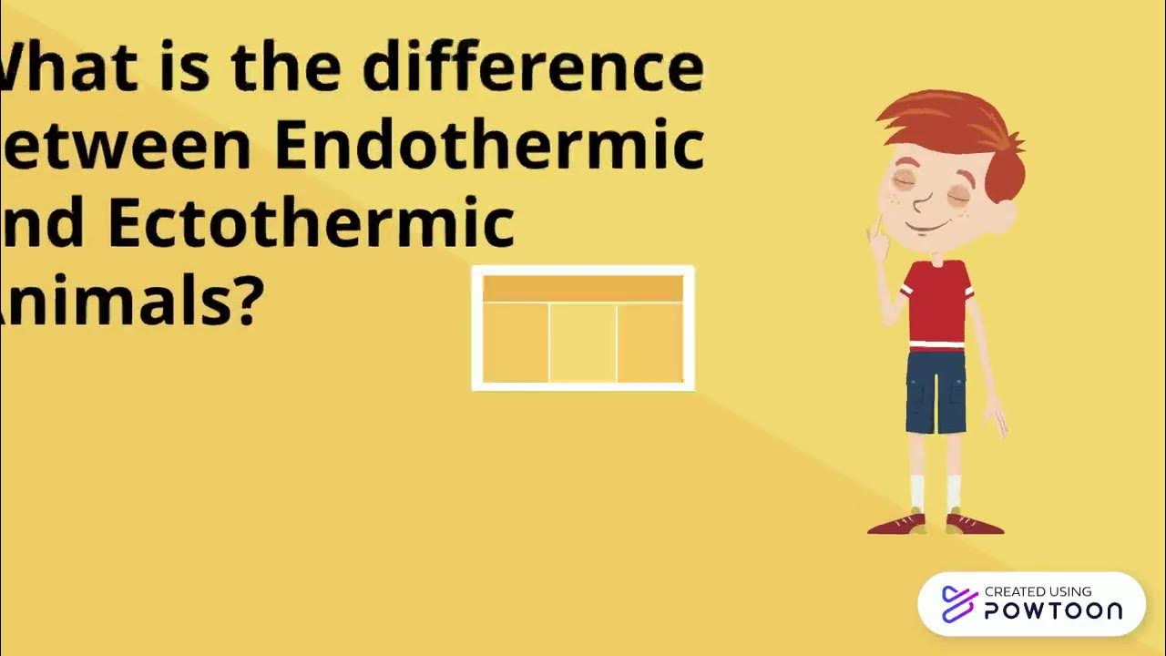 Endothermic vs. Ectothermic Animals - YouTube