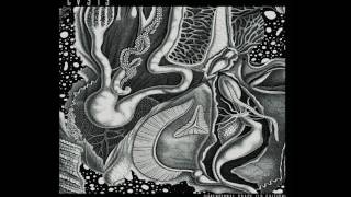 cv313 - Beyond Dreams (Live In Munich)