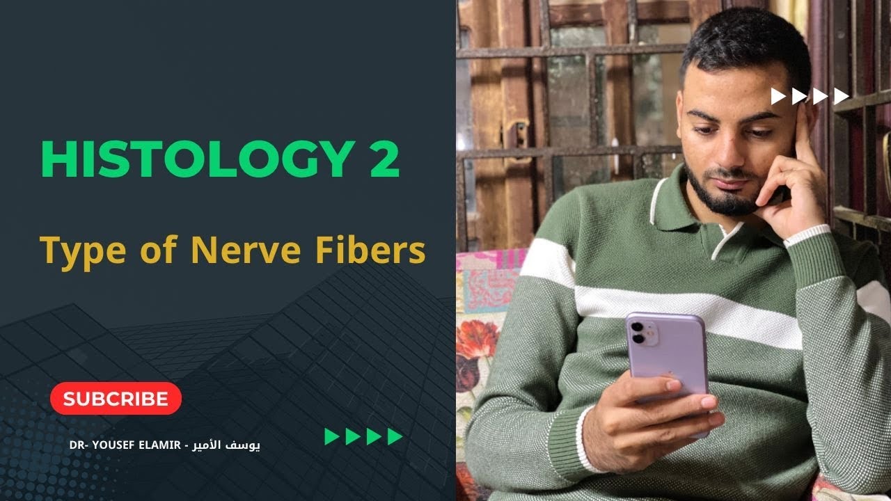 10-Type of Nerve Fibers - H2 | د. يوسف الأمير 