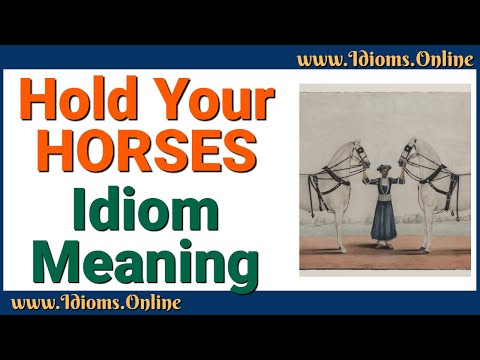 hold-your-horses:-meaning-of-expression