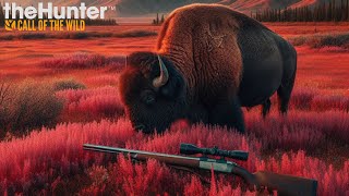 MASSIVE Diamond Bison and more! Yukon Valley Trophy Highlights! TheHunter:Call of the Wild