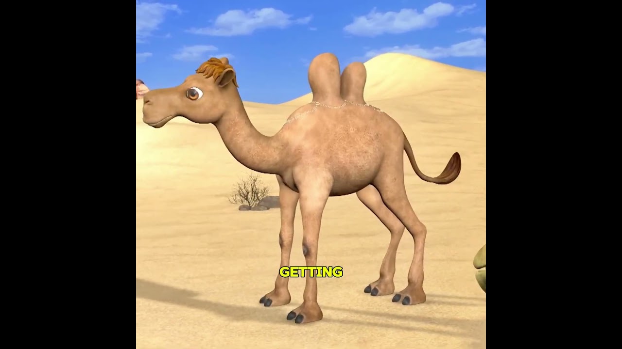 The 5-Hump Camel’s Shocking Secret 🐪 #shorts
