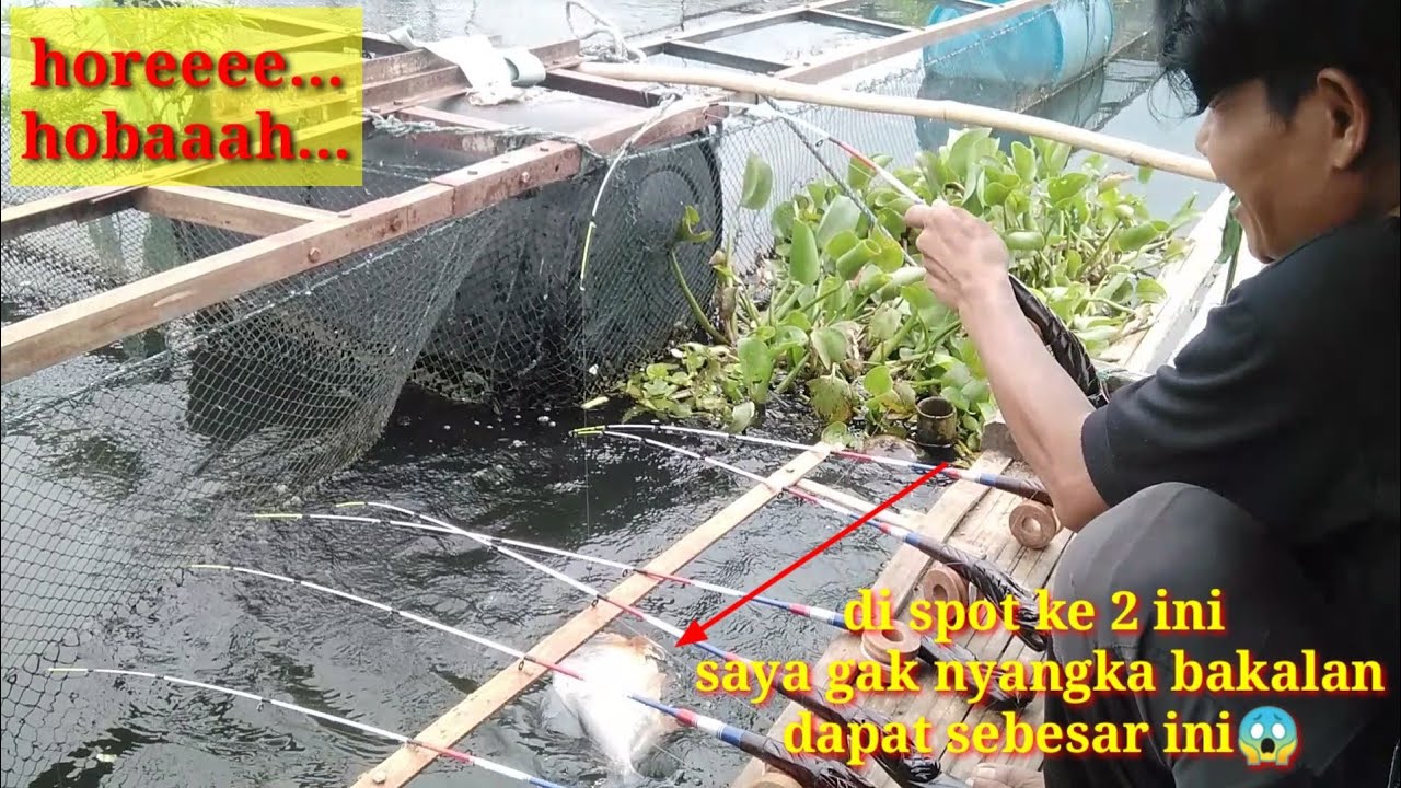 awal nya ragu mancing di spot ini//tapi hasil nya teryata memuas kan