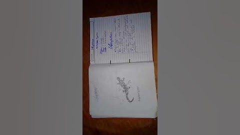 how to make practical notebook zoology C bsc part 2