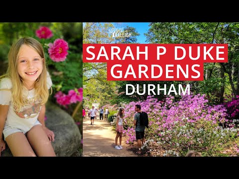 Spring blooms: Sarah