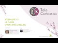 Tela confrences  webinaire 3  la flore spontane urbaine