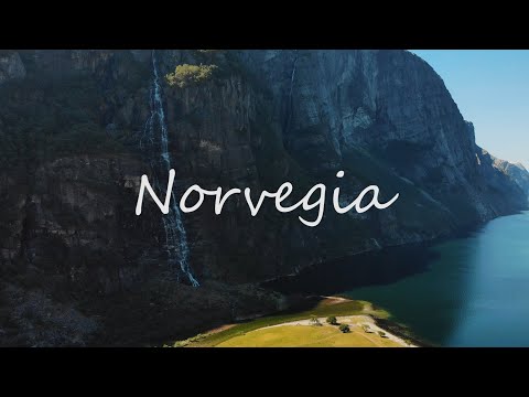 Video: Vitel Rar Alb Renal Fotografiat în Norvegia