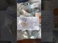 Knit California and Golden Hour Knitwear Acquisition