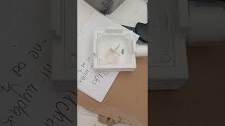 camponotus Herculeanus #ants #diy ts #mrówki #camponotusherculeanus #terrarium #egzotic