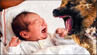 Perro se niega a dejar que el bebé duerma solo. Los padres descubren por qué y llaman a la policía