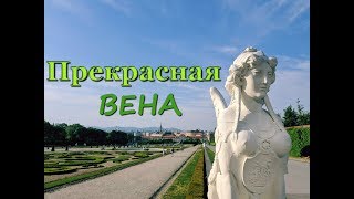 Прекрасная Вена