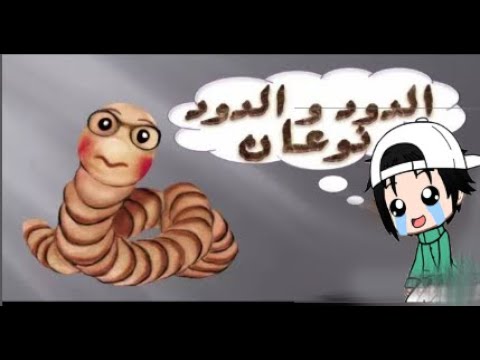الدود والدود نوعان التلميذ حمق الاستاذ