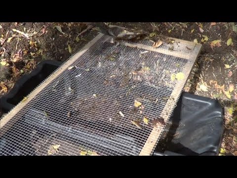 #212 Making a Quick Compost Screen