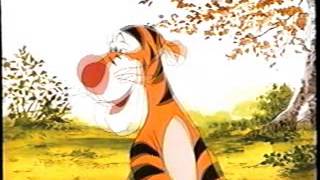 Opening To Winnie The Pooha Birthday Party In The Hundred Acre Wood 2001 Vhs