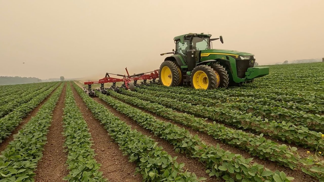 Row Crop Cultivator with Section Control!! First Field Look!