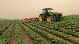 Row Crop Cultivator with Section Control!! First Field Look!
