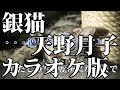 【ニコカラ】銀猫(Off Vocal)【天野月子】